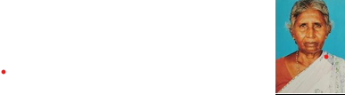 main slider